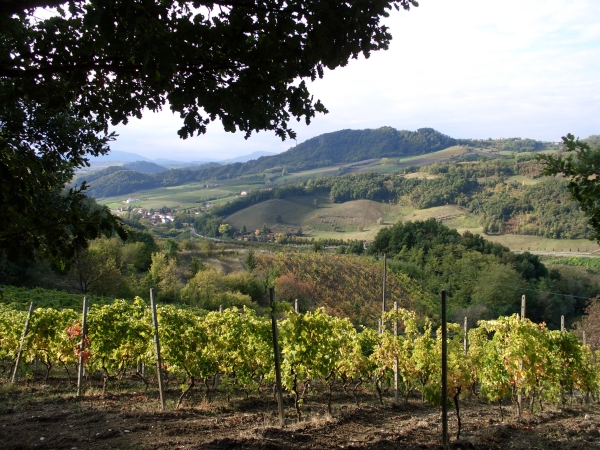 PANORAMA IN VAL CURONE.jpg